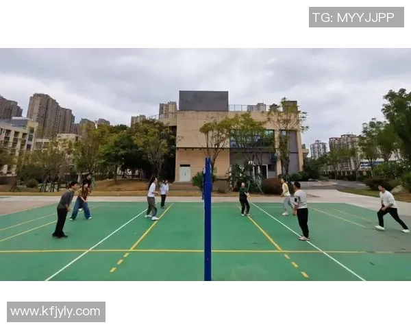 杨丽独家分享排球心得与技巧助你提升球技的秘诀与经验解析